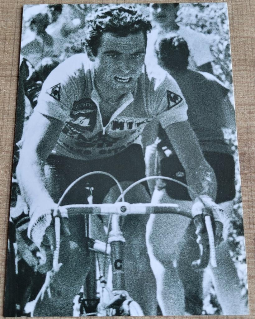Wielrenner Bernard Hinault: oude fotoprent, Ophalen of Verzenden, Gebruikt, Poster, Plaatje of Sticker