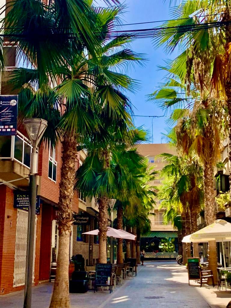 A louer grande application de luxe Torrevieja Costa Blanca, Costa Blanca, Appartement