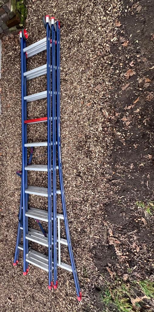 ALTREX ! Professionele ladder, Ophalen, Ladder