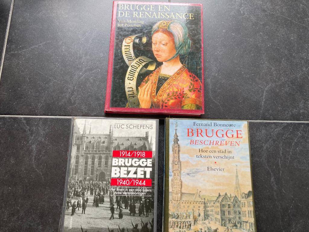 3 dikke boeken over de stad "Brugge" = samen 15€, Ophalen of Verzenden, Zo goed als nieuw