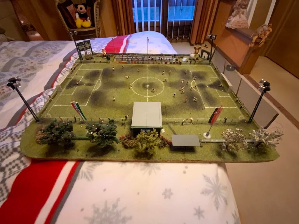 Voetbalveld 56 x 65 cm DAK DE verbonden lantaarnpalen, Ophalen, Natuur