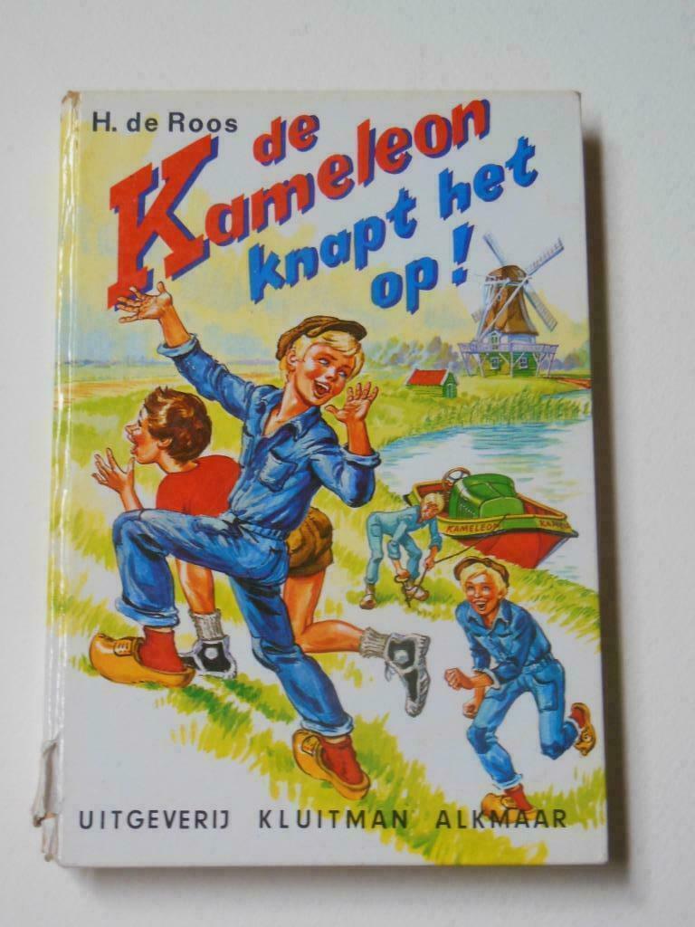 De Kameleon knapt het op! - H. de Roos, Livres, Enlèvement ou Envoi, Utilisé, Fiction