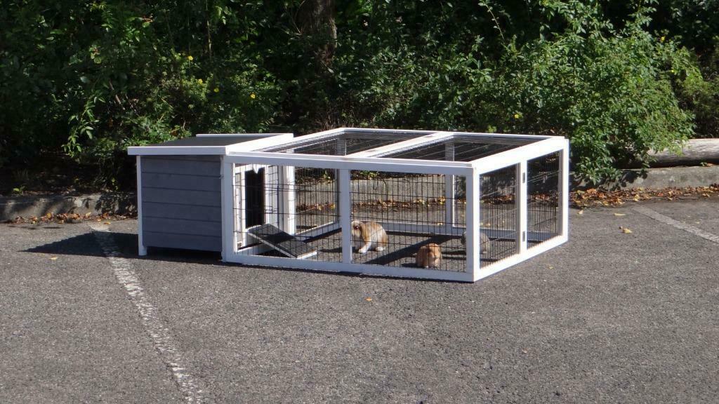 Clapier Aisne avec enclos clapier lapin cochon d'inde enclos, Dieren en Toebehoren, Knaagdieren en Konijnen | Hokken en Kooien