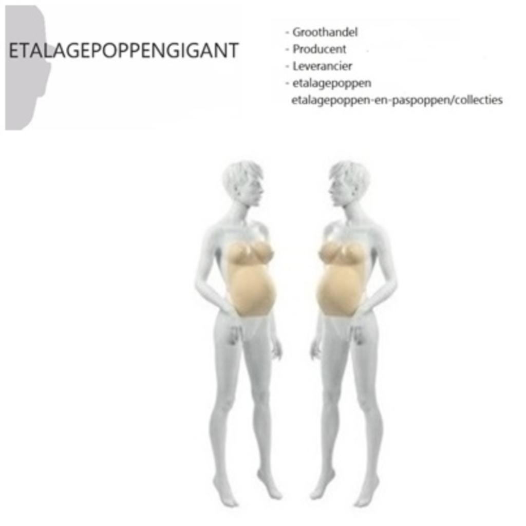 Presentatie Zwangerschapsbuik / Positiebuik Nieuw EPG, Enlèvement ou Envoi, Autres couleurs, Autres types, ETALAGEPOPPENGIGANT.NL