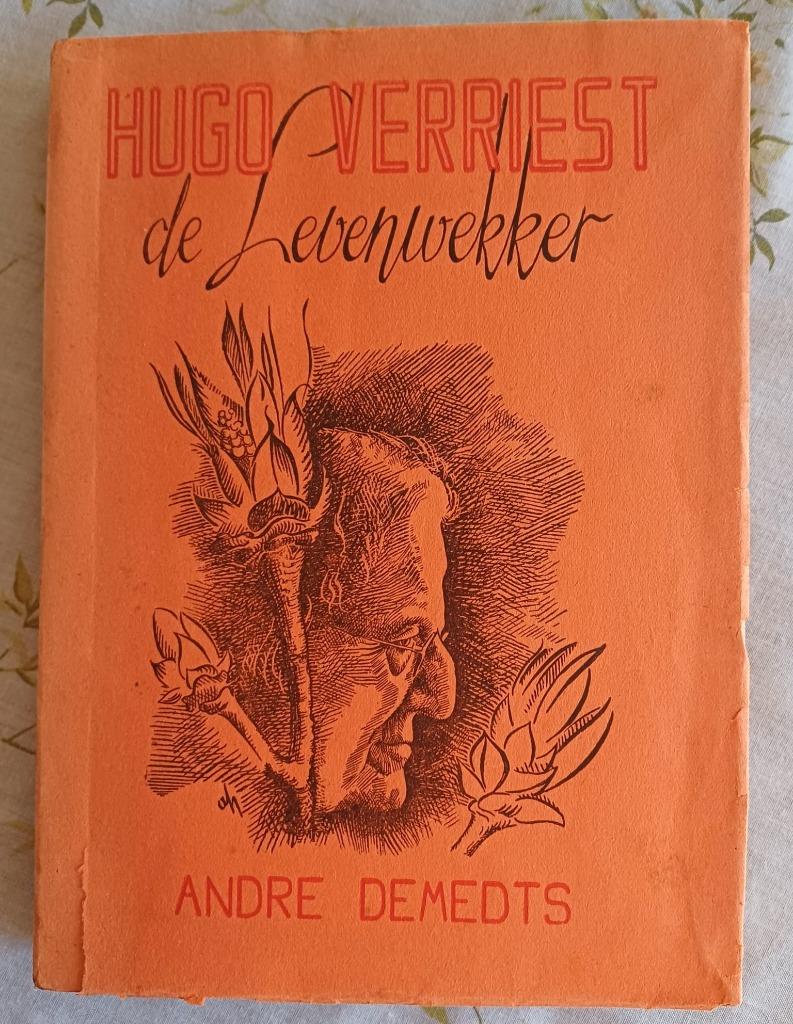 Hugo Verriest de Levenswekker door André Demedts, Ophalen of Verzenden, André Demedts