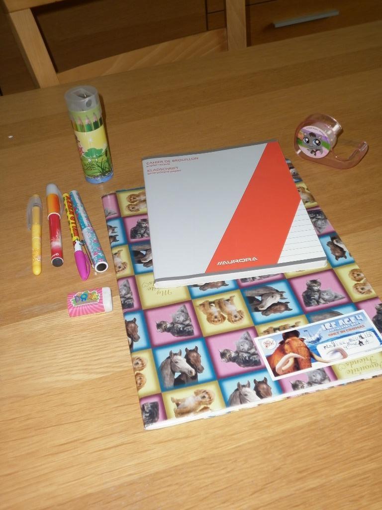 matériel scolaire, Ophalen of Verzenden, Zo goed als nieuw