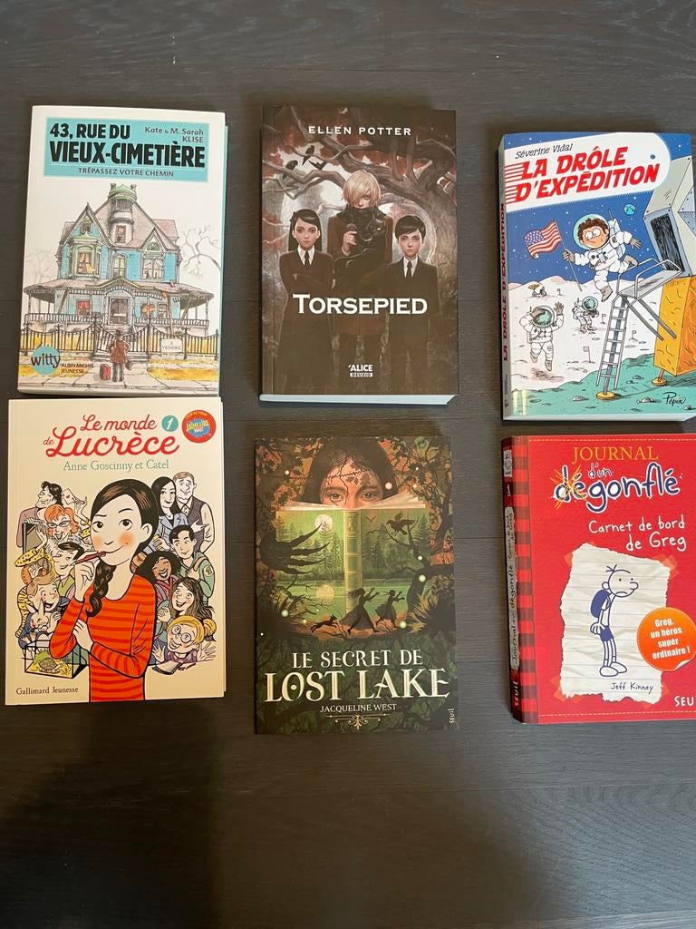 Lot de livres pour enfants en français, Livres, Livres pour enfants | Jeunesse | 10 à 12 ans, Comme neuf, Enlèvement ou Envoi