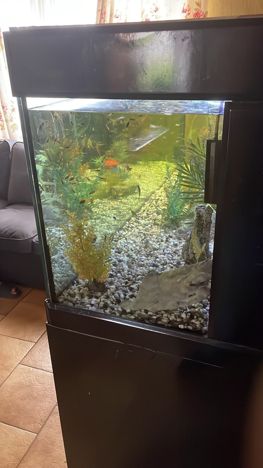 vend aquarium complet 750 litre état neuf, Ophalen, Zo goed als nieuw, Aquariummeubel