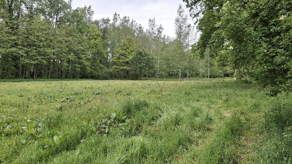 weide te koop, Laakdal, Ventes sans courtier, 1500 m² ou plus