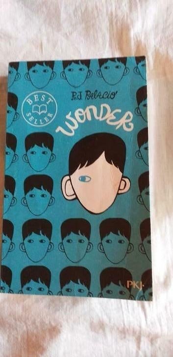 Wonder de RJ Palacio, Enlèvement ou Envoi, Utilisé, Non-fiction, R.J. Palacio