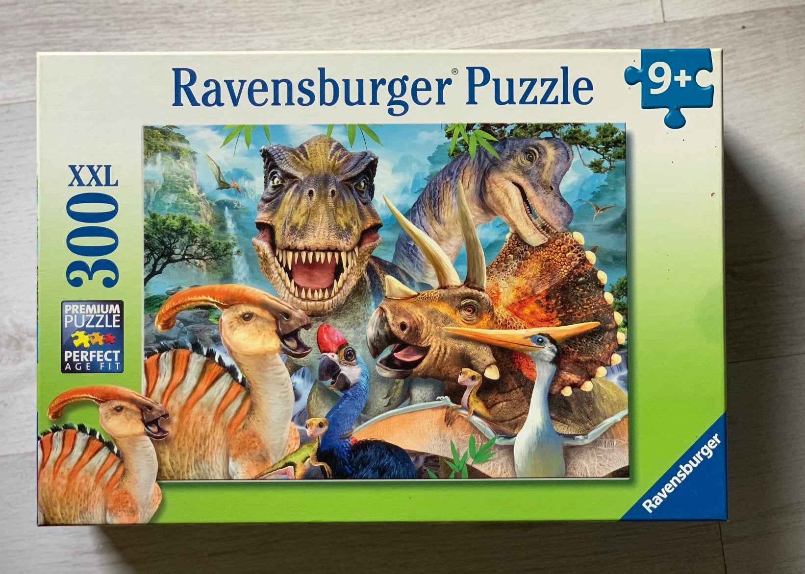 Kinderpuzzels van 100/150/200/300 stukjes, Kinderen en Baby's, Speelgoed | Kinderpuzzels, Ophalen, Zo goed als nieuw