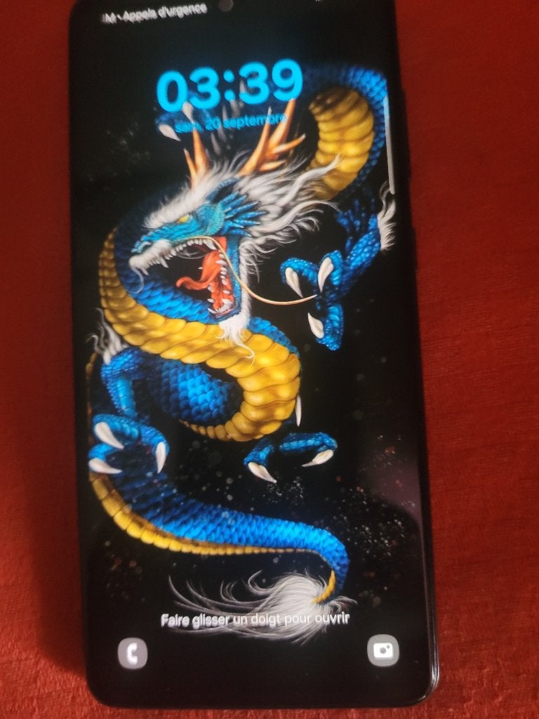 Samsung Galaxy A52S 5 G état et sont chargeur lire, Autres modèles, Enlèvement ou Envoi, Utilisé, 6 à 10 mégapixels