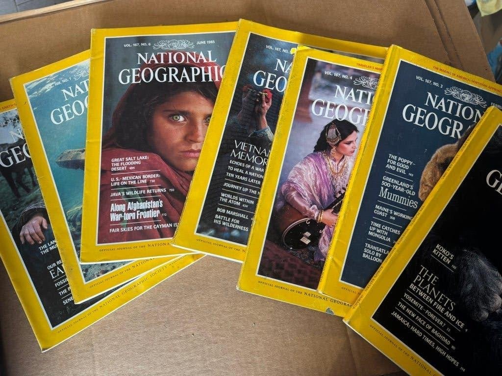 Grande collection vintage National Geographic 153 pièces, Enlèvement, Journal ou Magazine