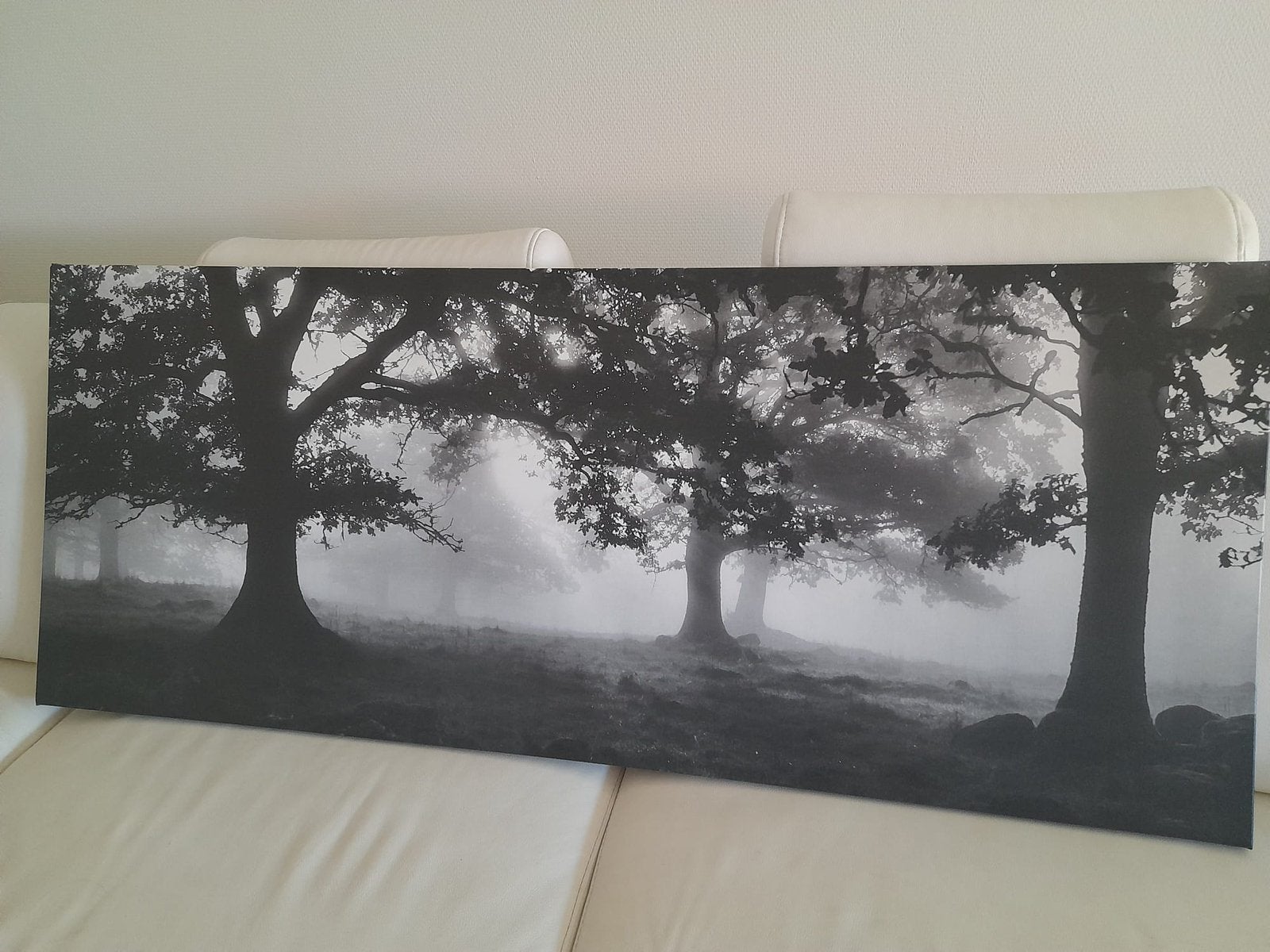 Canvasdoek met print, Huis en Inrichting, Woonaccessoires | Schilderijen, Tekeningen en Foto's, Ophalen, Zo goed als nieuw, Print