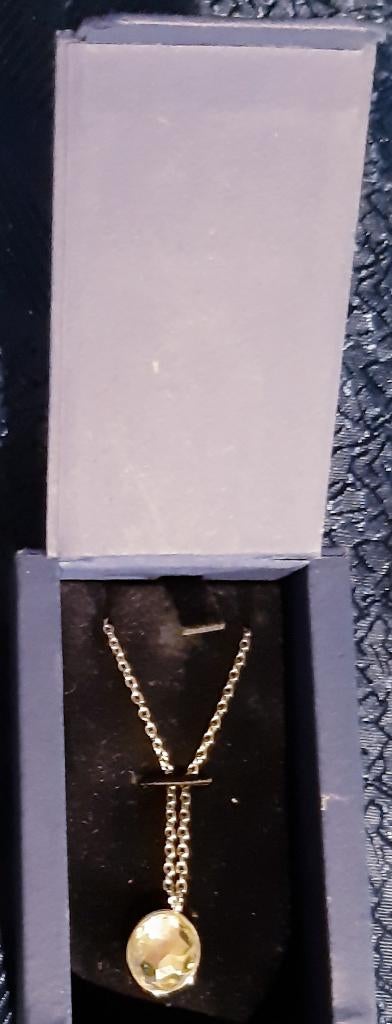 Prachtig Swarovski ketting, Verzamelen, Swarovski, Ophalen of Verzenden, Zo goed als nieuw, Sieraad of Horloge