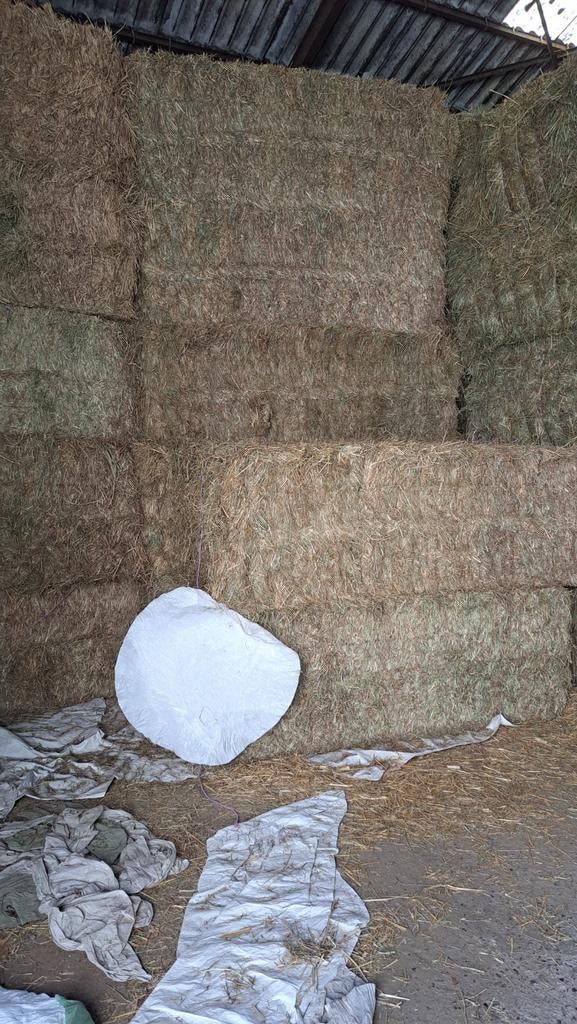 Hooi grote balen, 540kg, Dieren en Toebehoren, Ophalen