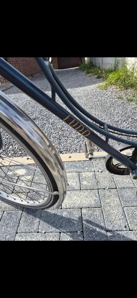 Vintage dames fiets, Enlèvement ou Envoi, Vitesses