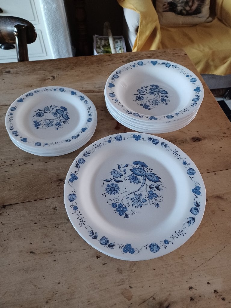 Arcopal blue onion borden vanaf 9 euro, Antiek en Kunst, Ophalen of Verzenden