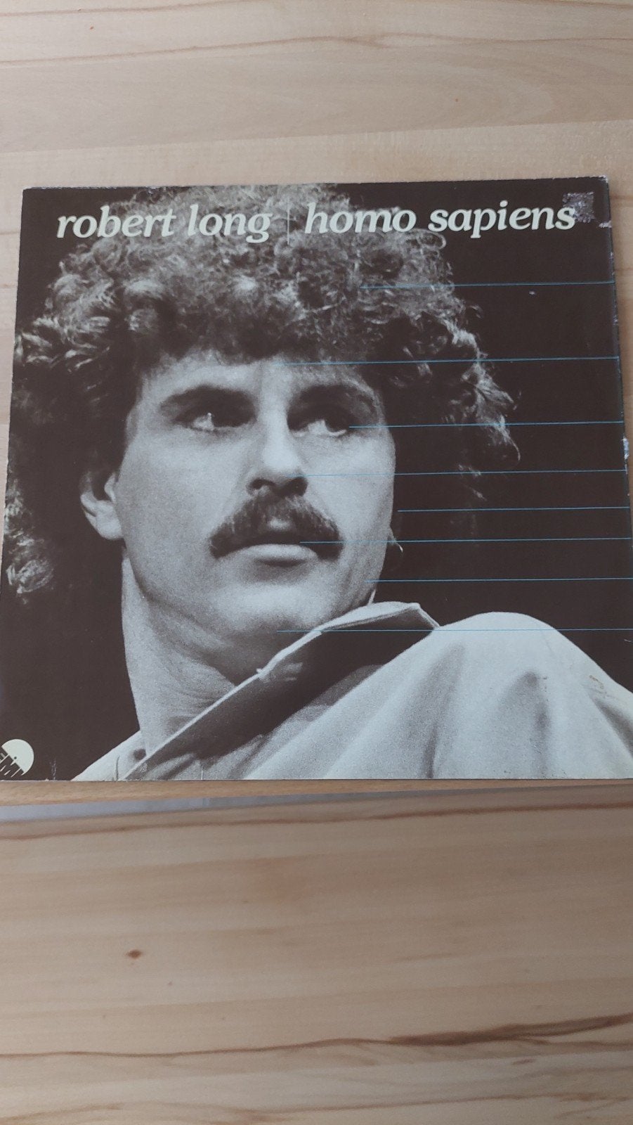 LP Robert Long, CD & DVD, Vinyles | Néerlandophone, Enlèvement ou Envoi
