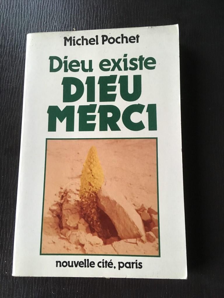 Dieu existe, dieu merci - Michel Pochet, Enlèvement ou Envoi