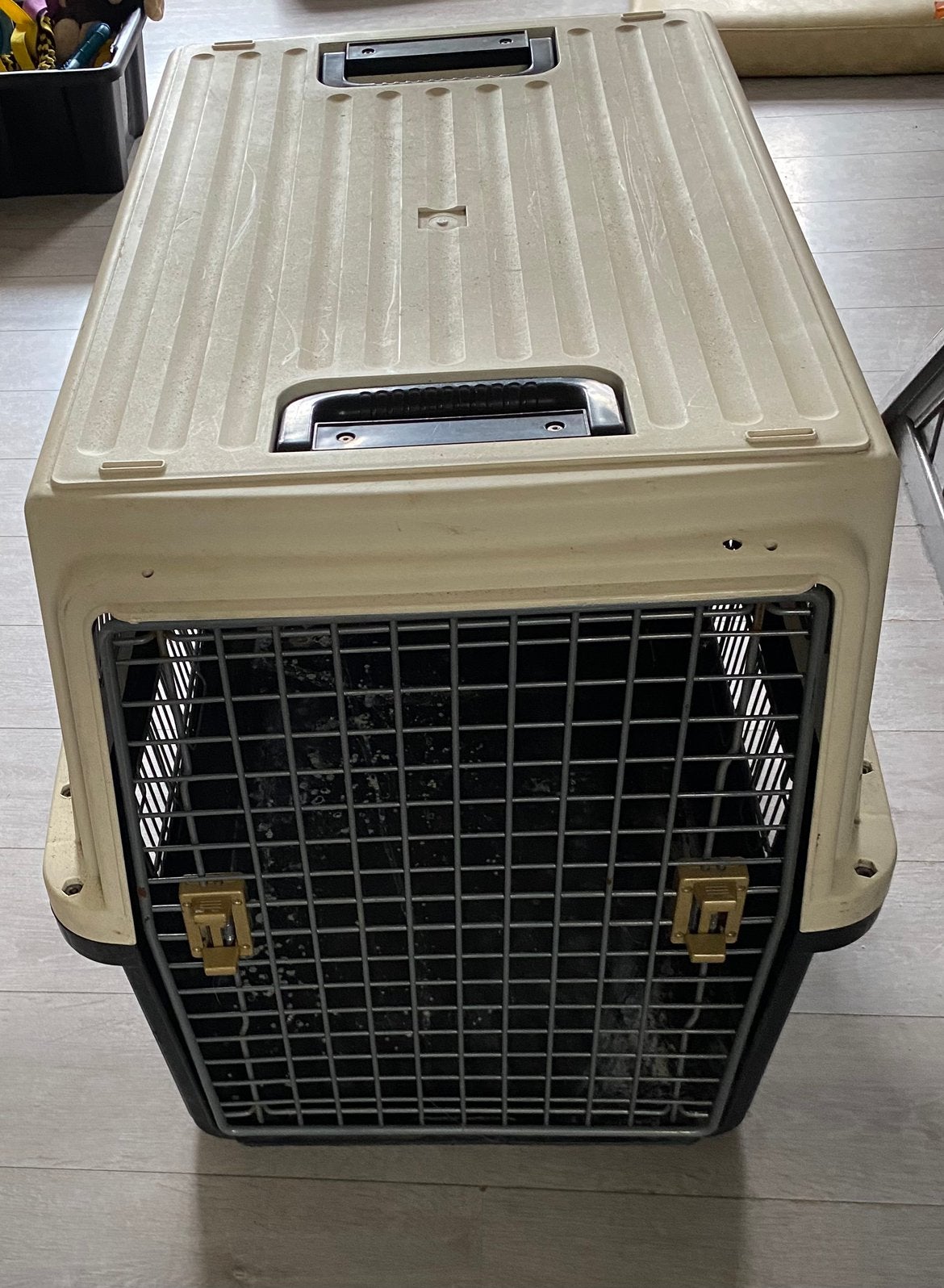Cage de transport, Animaux & Accessoires, Enlèvement, Utilisé