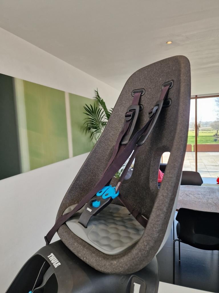 Thule Yepp Nexxt Maxi - Fietsstoeltje achter - Grey, Enlèvement