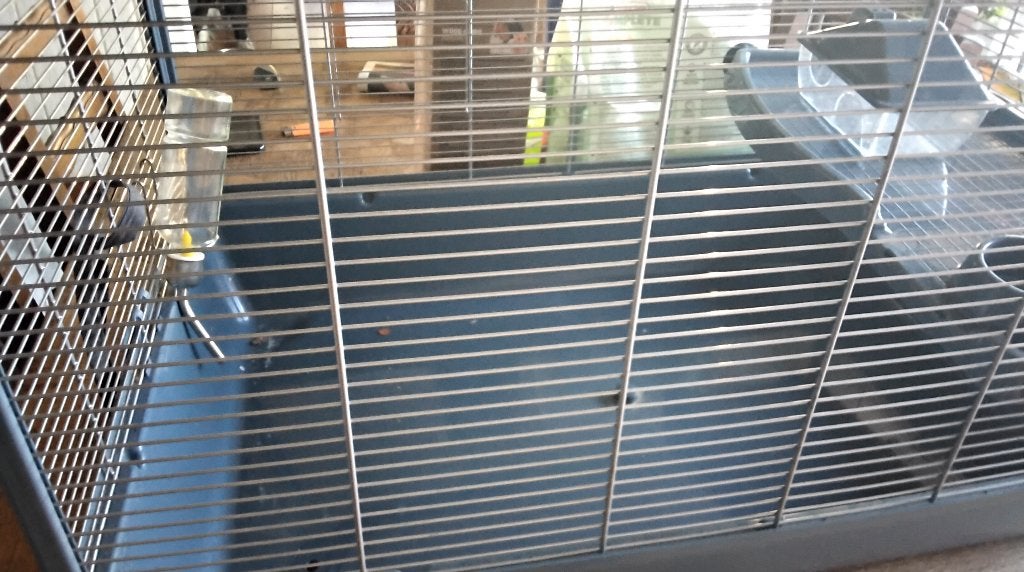 Cage à hamster, Enlèvement ou Envoi, Moins de 60 cm, 75 à 110 cm, Cage