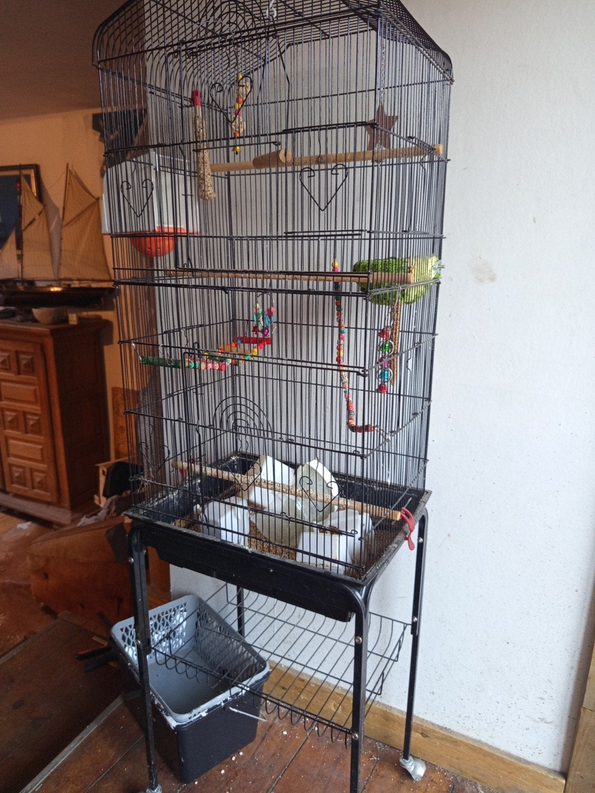 Cage à oiseau, Enlèvement