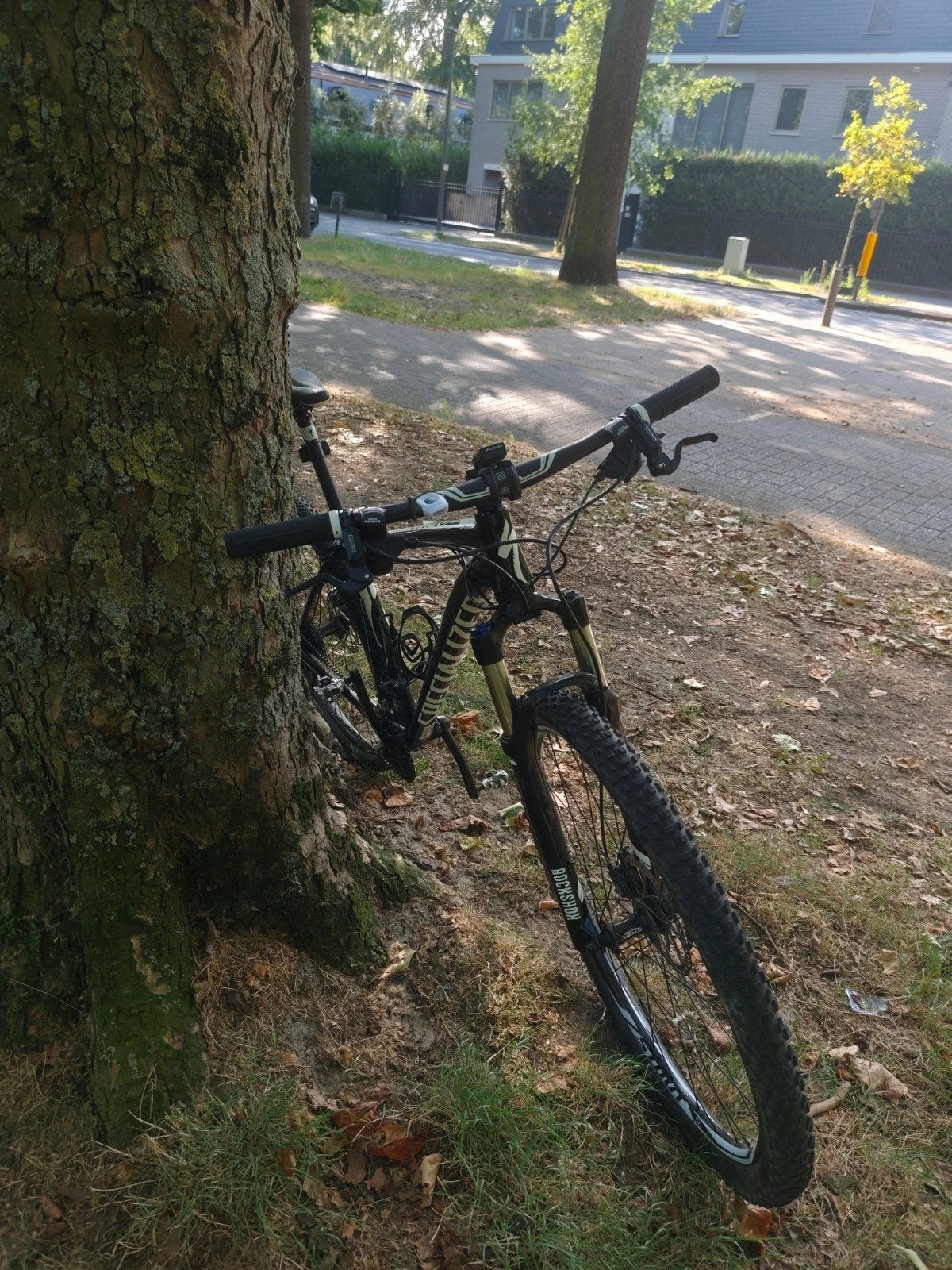 mountainbike voor vrouwen, Enlèvement