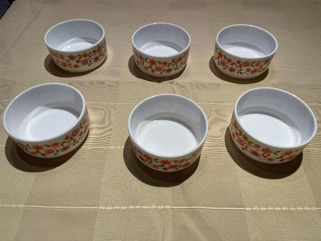 6 identieke kommen Arcopal VINTAGE - RETRO, Ophalen of Verzenden