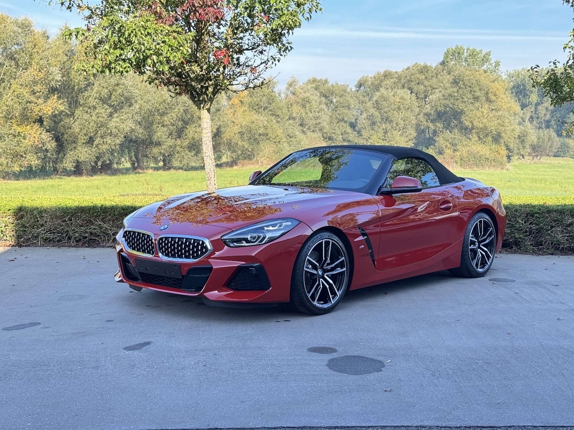 BMW Z4 sDrive20i M Sport / LEDER / CAM / CARPLAY / VERW ZETE, Rouge, Euro 6, Entreprise, Noir