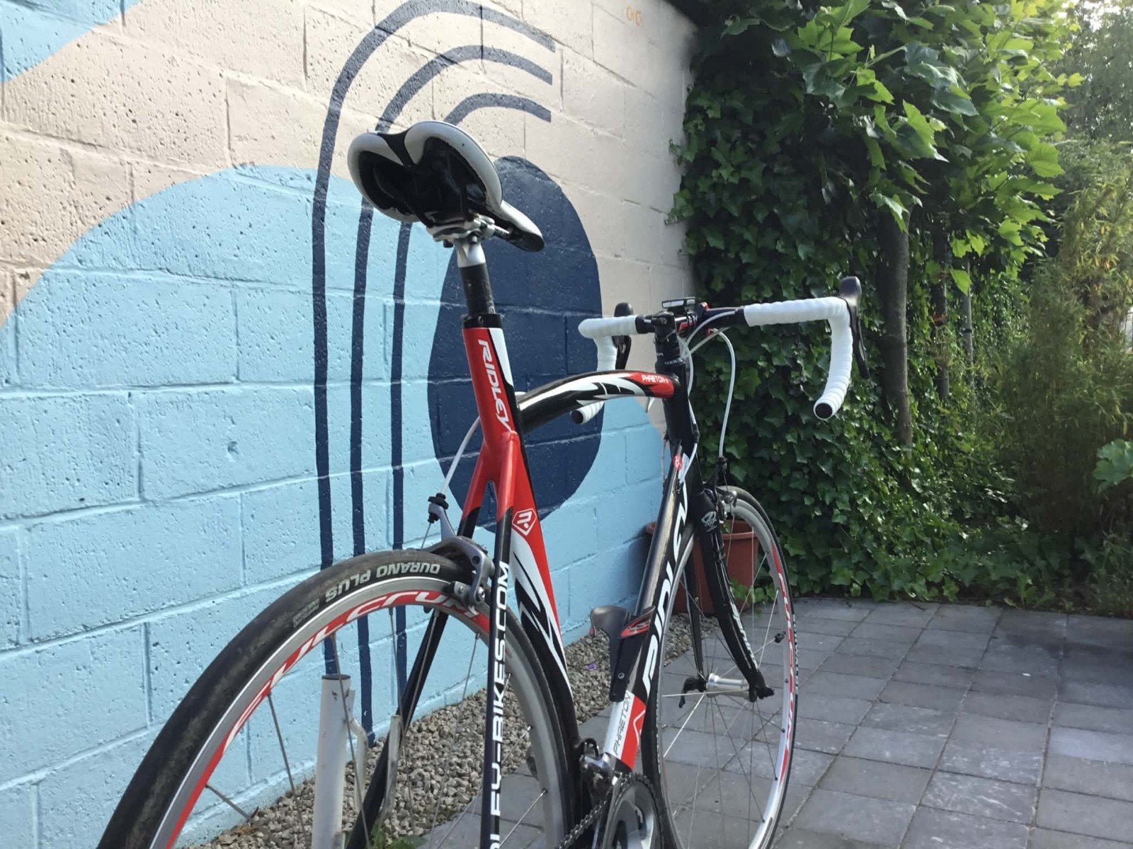 Ridley Phaeton R maat L, Ophalen, Zo goed als nieuw, Heren, Overige merken