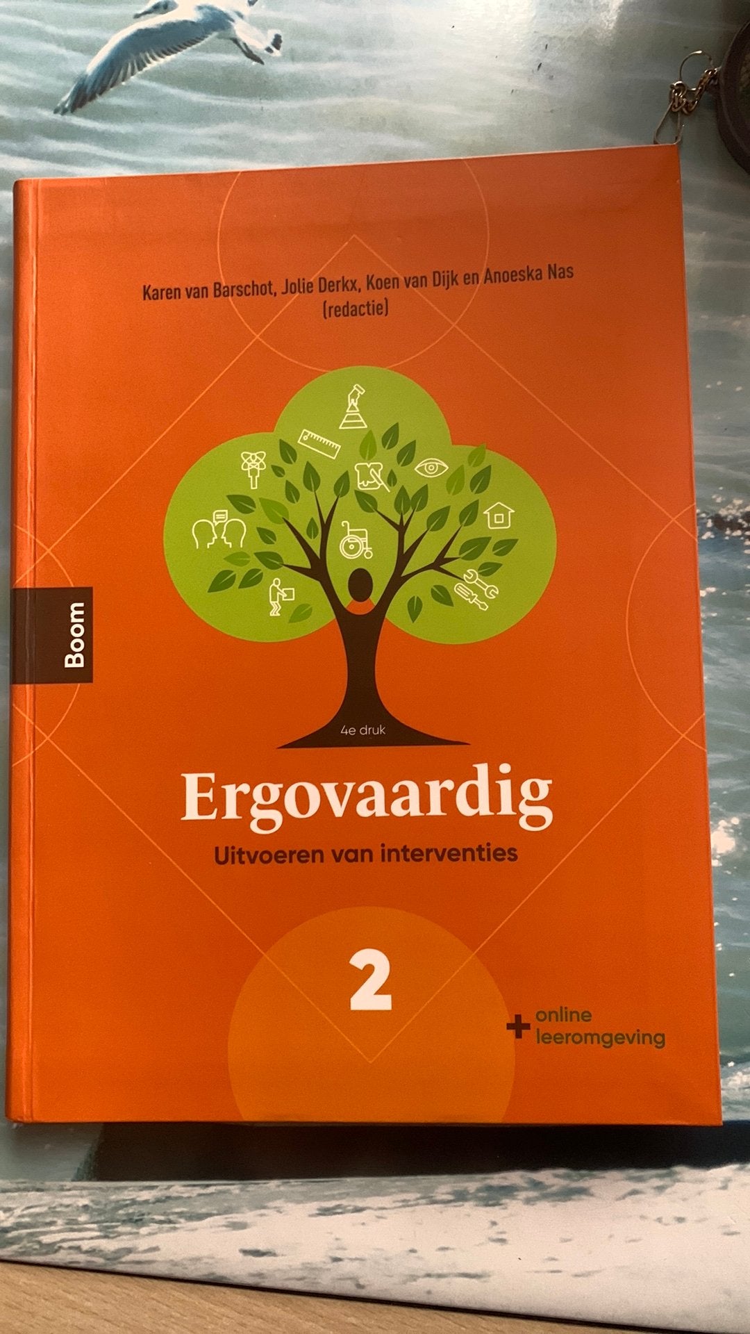 Ergovaardig - deel 2, Boeken, Ophalen of Verzenden, Nederlands, Karen van Barschot; Jolie Derkx; Anoeska Nas; Koen van Dijk