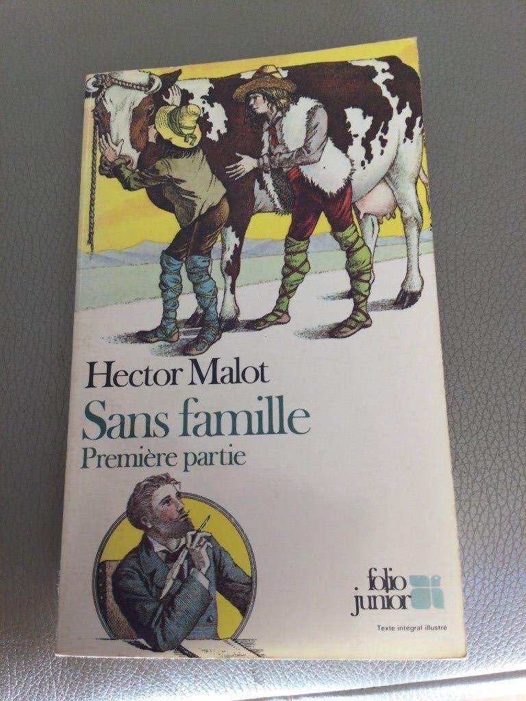 HECTOR MALOT"SANS FAMILLE"FOLIO JUNIOR-10 ANS+, Enlèvement ou Envoi, Fiction, Utilisé, HECTOR MALOT