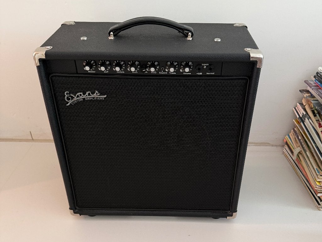 Evans gitaarversterker, Muziek en Instrumenten, Ophalen, Gebruikt, Gitaar, 50 tot 100 watt