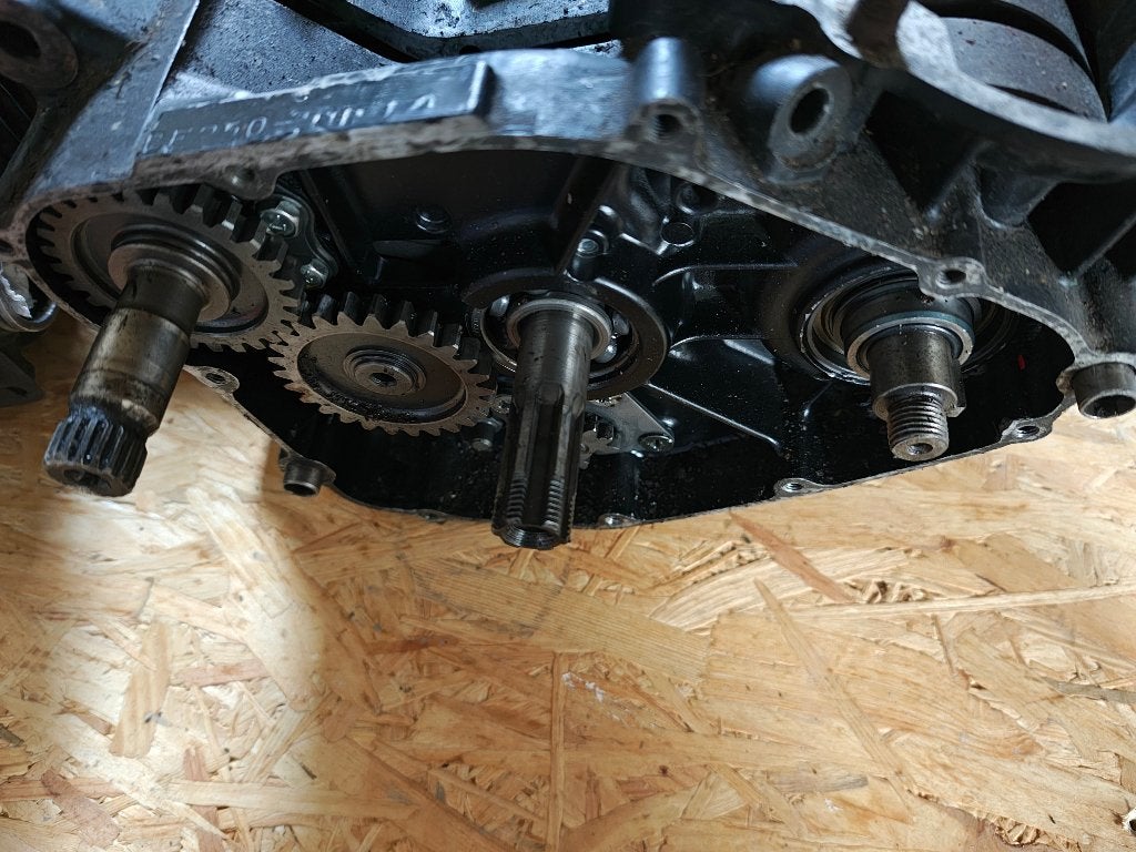 Bas moteur Suzuki pe 250, Enlèvement