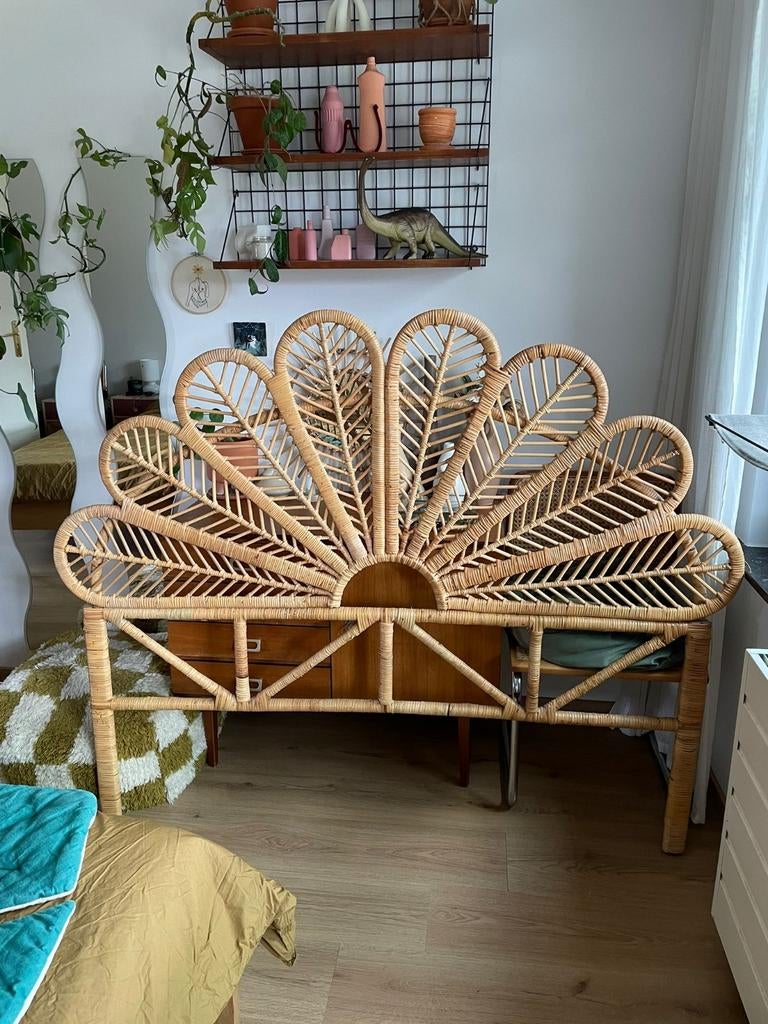 Rotan Hoofdbord, Enlèvement
