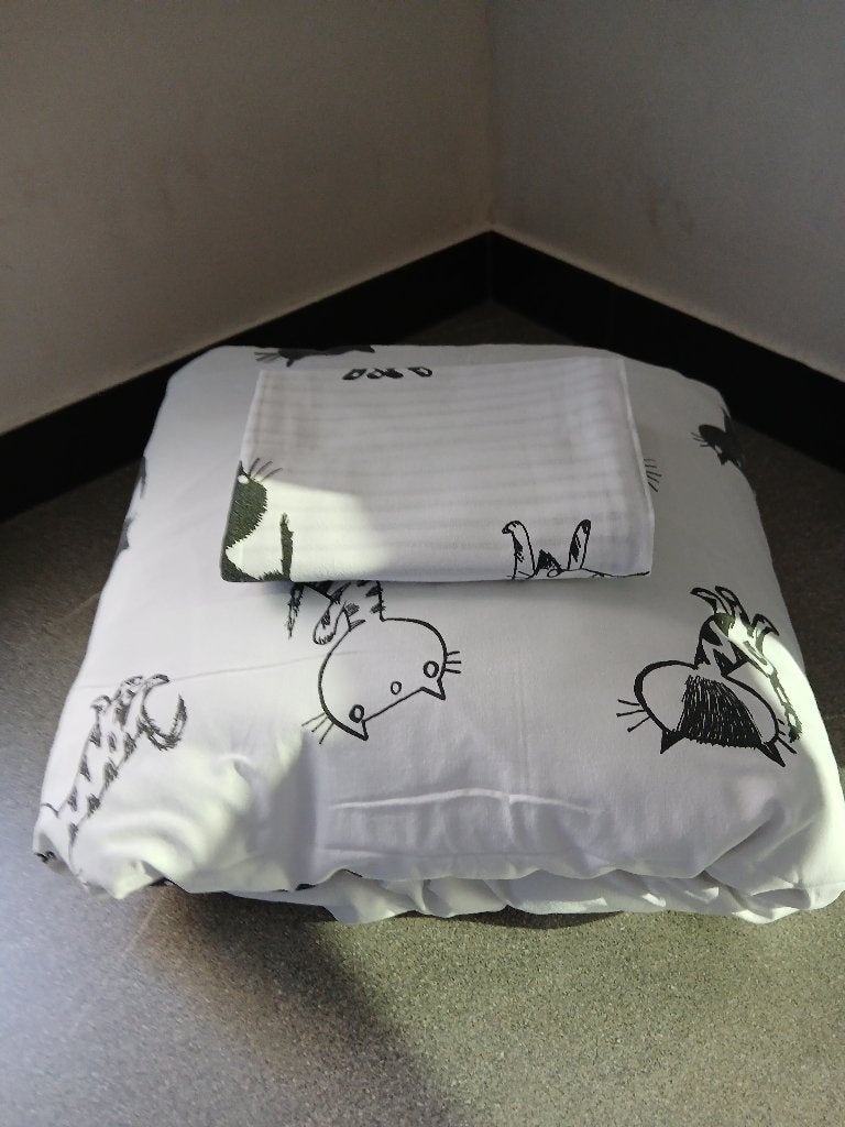 Couette+housse de couette+taie d'oreiller pour lit d'enfant, Garçon ou Fille, Enlèvement ou Envoi, Housse de couette, Comme neuf