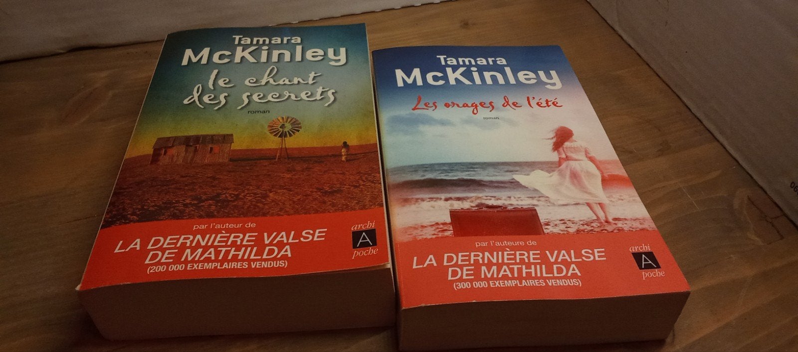 Tamara McKinley 2 romans, Livres, Dictionnaires, Tamara McKinley, Enlèvement ou Envoi, Comme neuf, Français