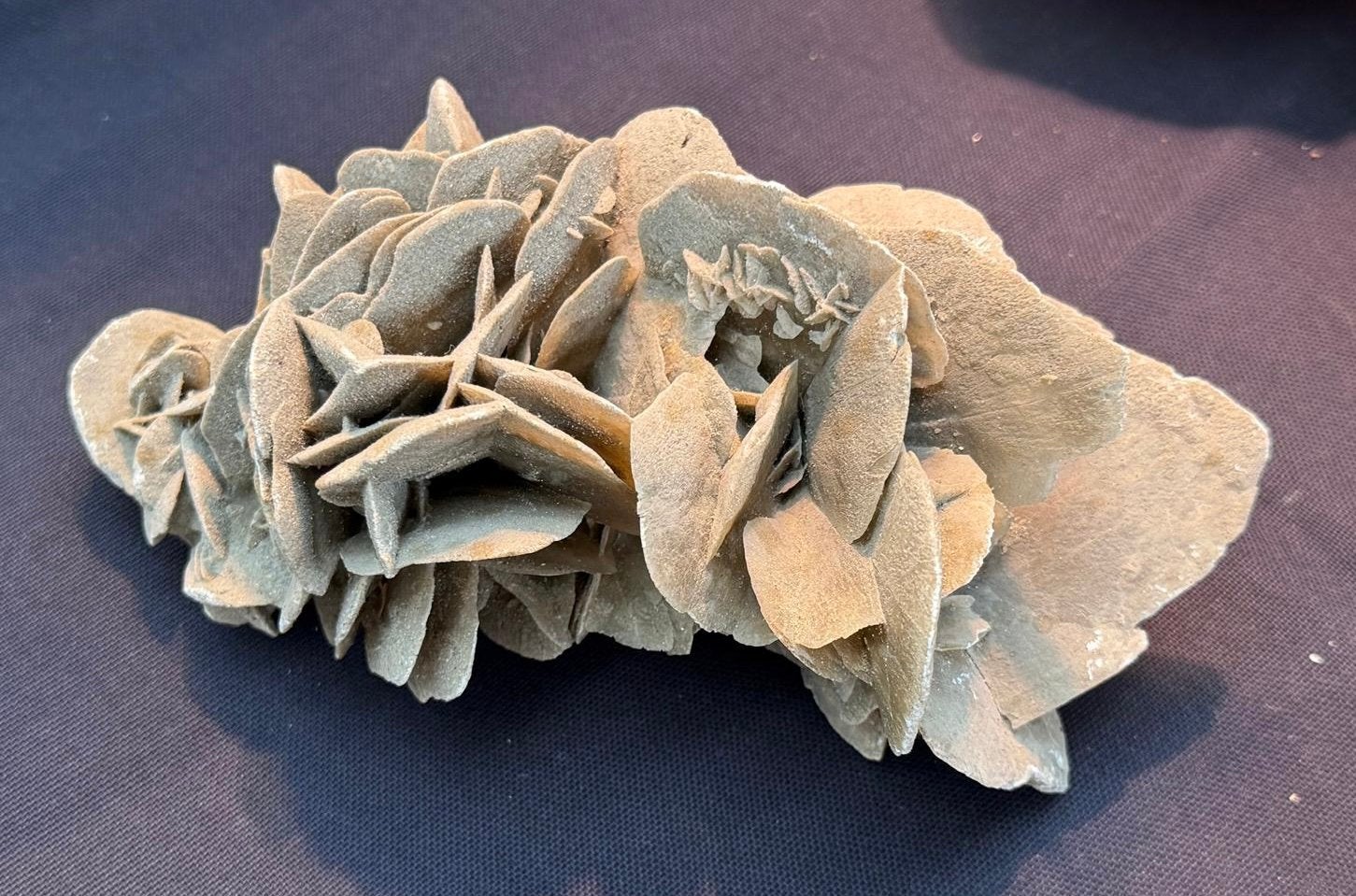 Grande rose du désert naturelle — 20 cm — 880 g, Enlèvement ou Envoi, Minéral