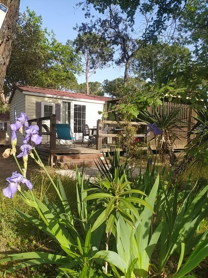 Dernières dispos mobilhome Côté d'Azur !!!