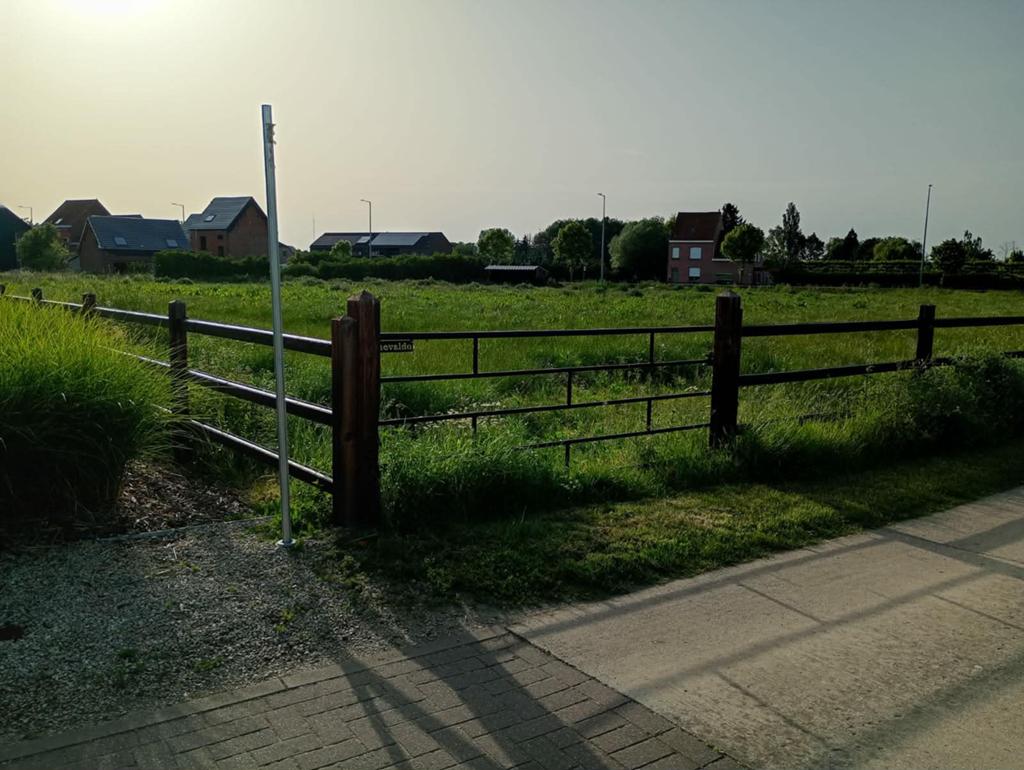 Paardenweide te huur, Dieren en Toebehoren, Stalling en Weidegang