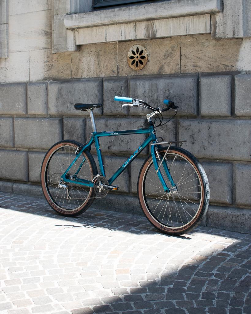 1994 Giant Cadex HCM-2 – Retro Carbon, Fietsen en Brommers, Fietsen | Heren | Sportfietsen en Toerfietsen, Ophalen, 26 inch, Velgrem