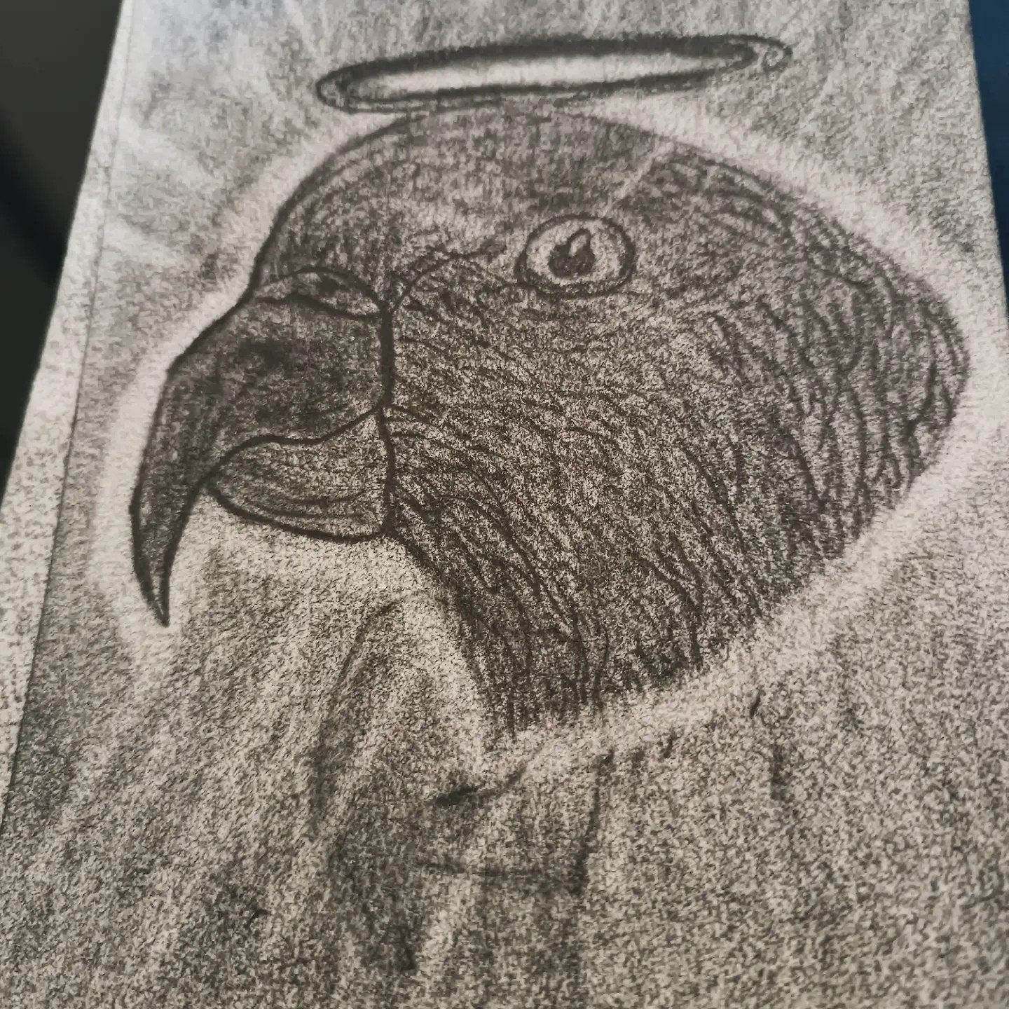 kleine Duiven fhoto, Antiek en Kunst, Ophalen, Tekening, Potloodtekening, Handgemaakt