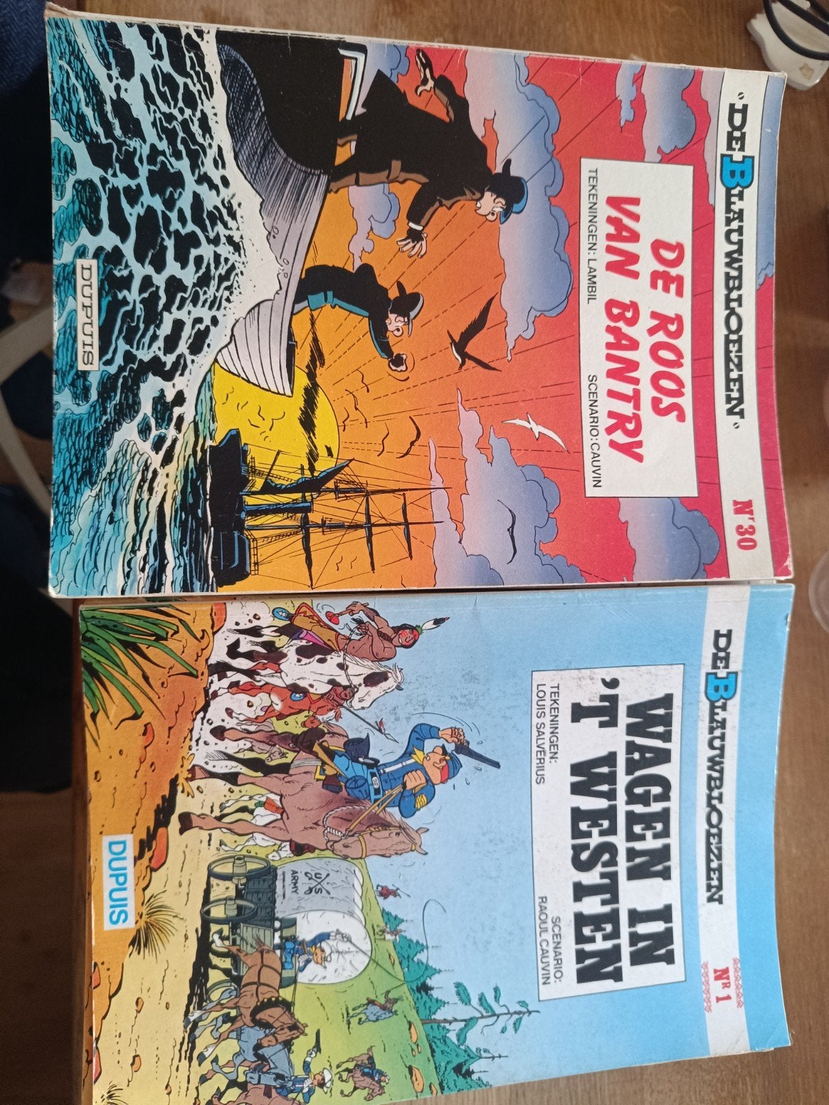de blauwbloezen, Boeken, Ophalen of Verzenden