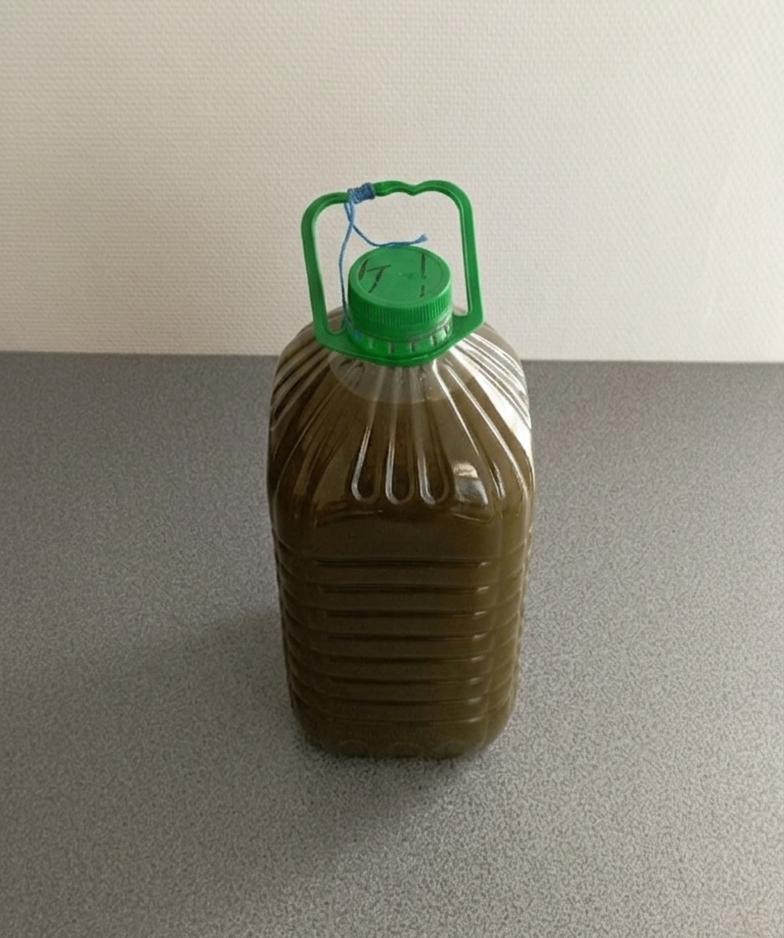 Olijfolie uit de Rif (Marokko): (laatste blikje van 5 liter), Ophalen