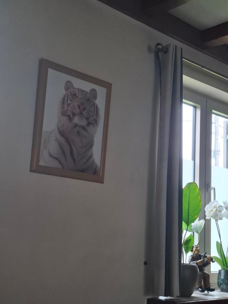 Posters in kader per stuk 10 euro, Ophalen