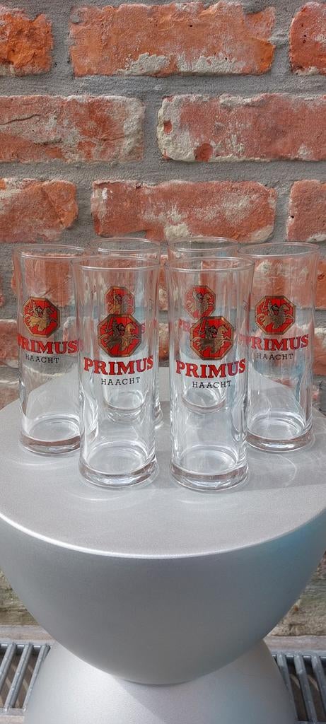 Glas primus haacht, Verzamelen, Ophalen of Verzenden, Nieuw, Bierglas