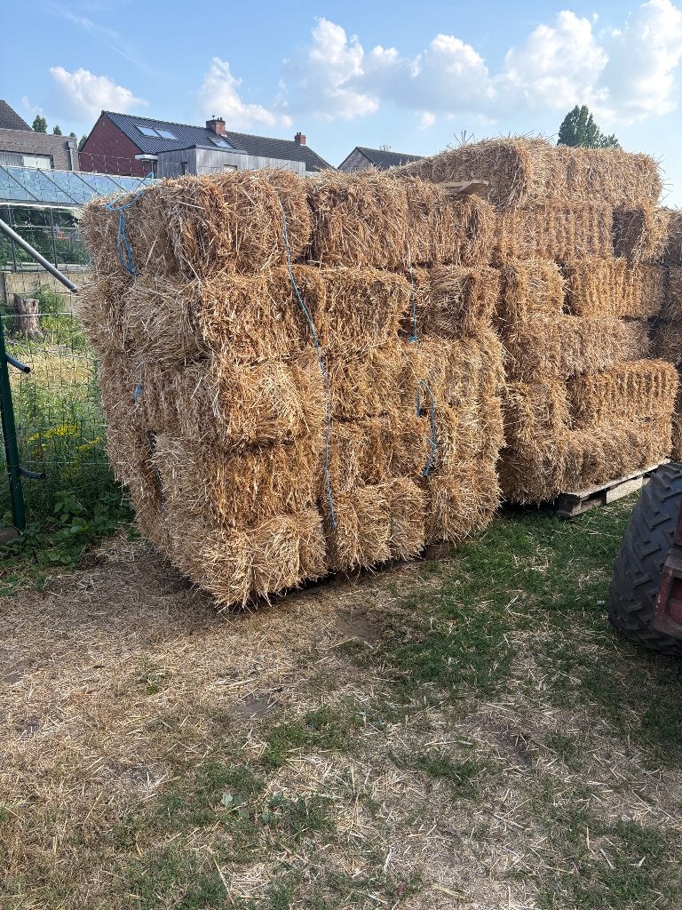 Stro kleine pakjes, Dieren en Toebehoren, Ophalen