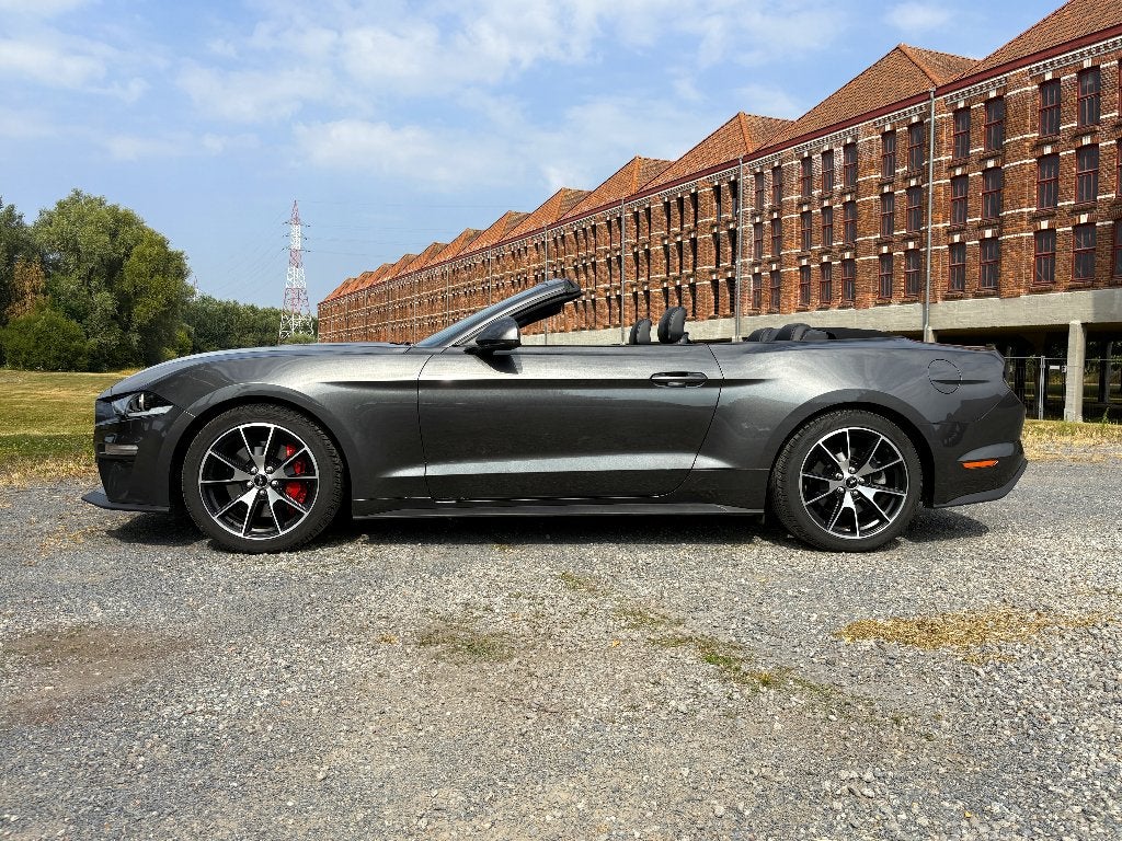 Ford Mustang Cabrio 55y Edition      Pure. Liberté. Passion., Autos, Cuir, Argent ou Gris, Achat, Euro 6